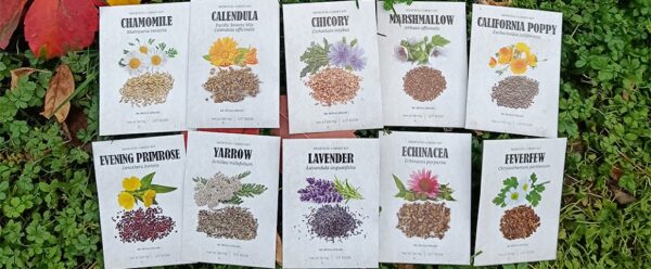 Medicinal Garden Kit - Image 3
