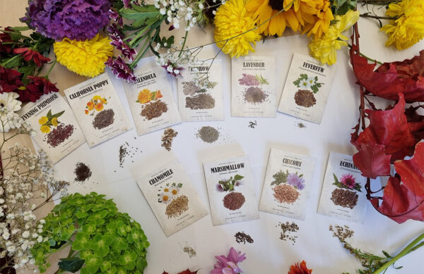 Medicinal Garden Kit - Image 4